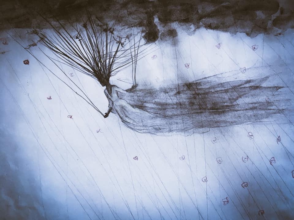 50932700_10213812745258870_6254987771992080384_n